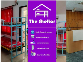 The Sheltor